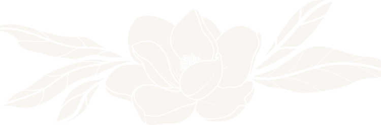 magnolia magnolia