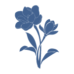 magnolia-icon
